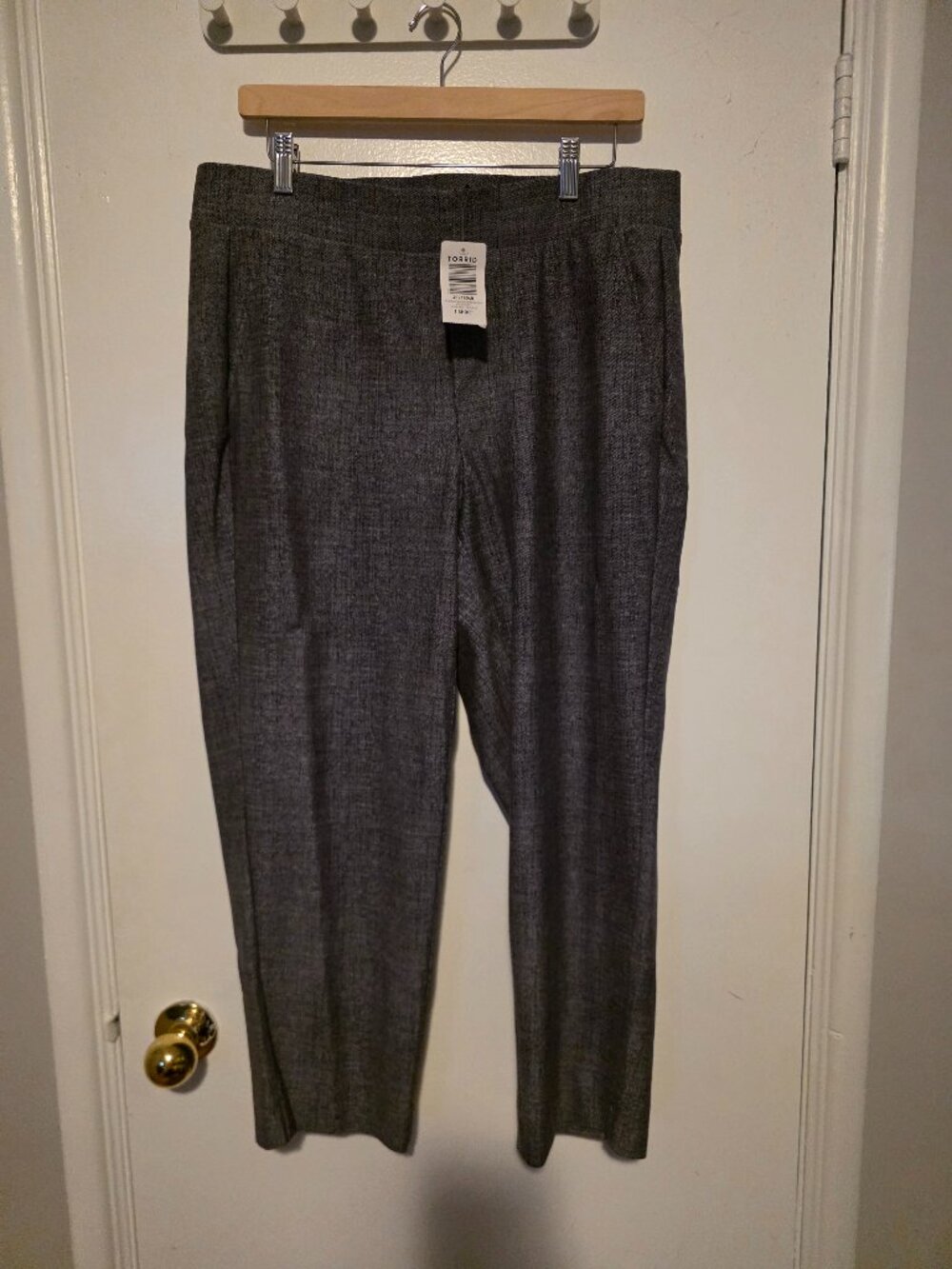 Torrid Pull-On Studio Pant (NWT)